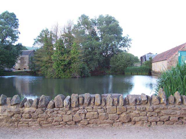 View of the lake